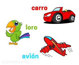 Sustantivos en singular, carro, loro, avión.